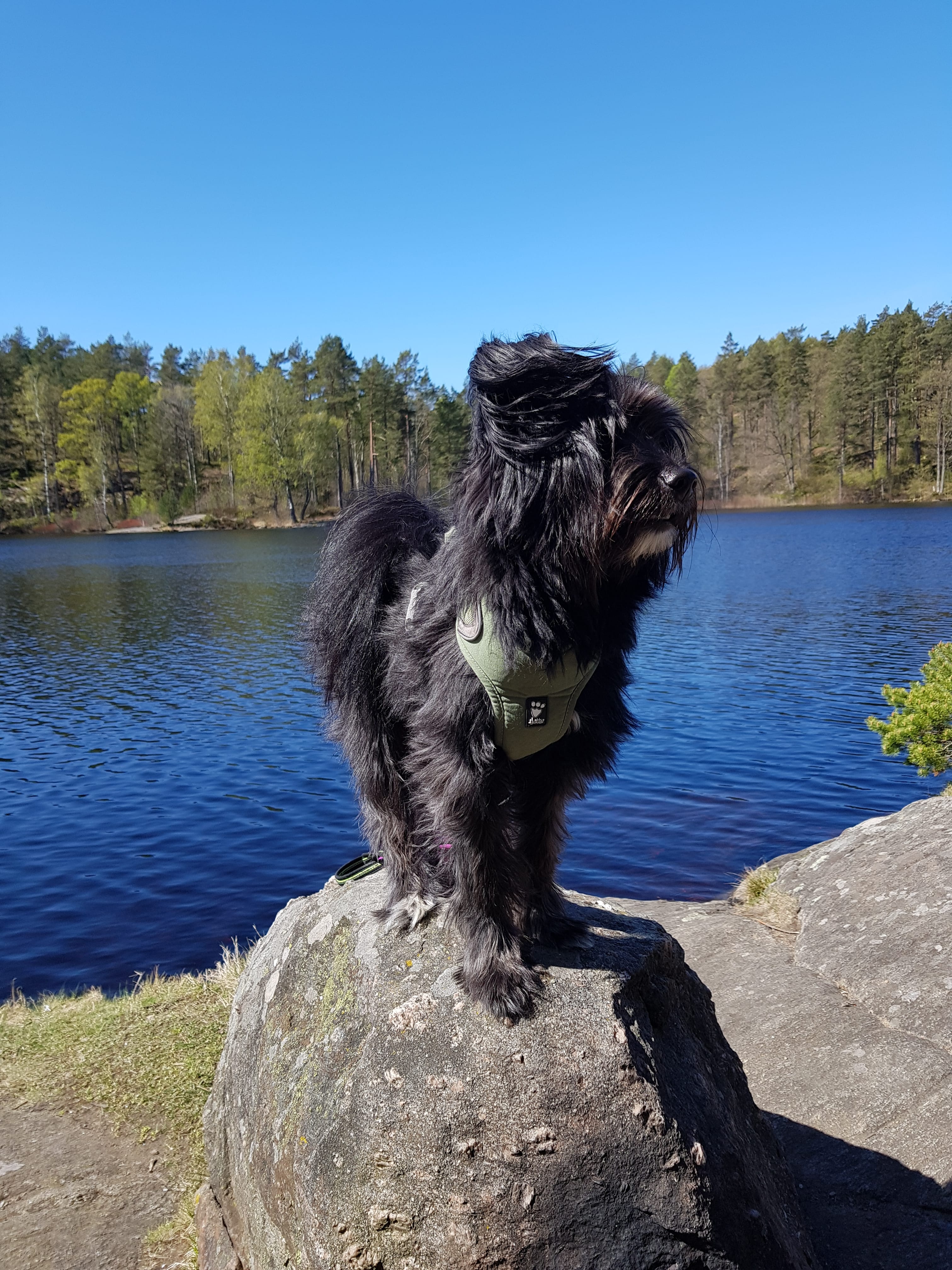 Bild för text blocket